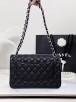 11.12 Caviar mit silberner Schwarz 30 cm – Bild 4