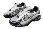 Dior Men's Shoes 2025 Grey & White