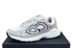 Dior Men's Shoes 25 Silver
