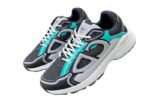 Dior Men's Shoes 2025 Grey Green