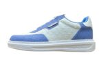 LOUIS VUITTON Men's Shoes 2025 Light Blue