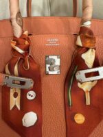 Birkin 25 Togo – Bild 10