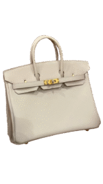 Birkin 25 Swift
